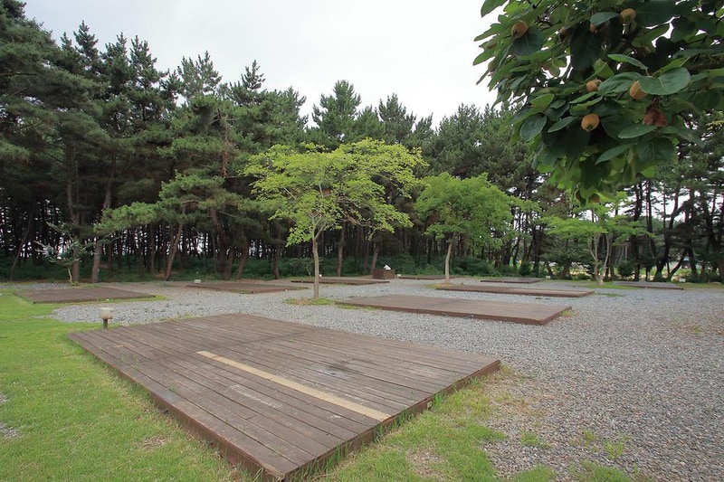 솔바람 캠핑장 시설 사진 4