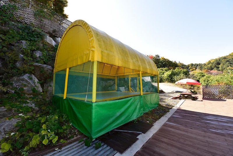 가평 사과나무 캠핑장 시설 사진 1