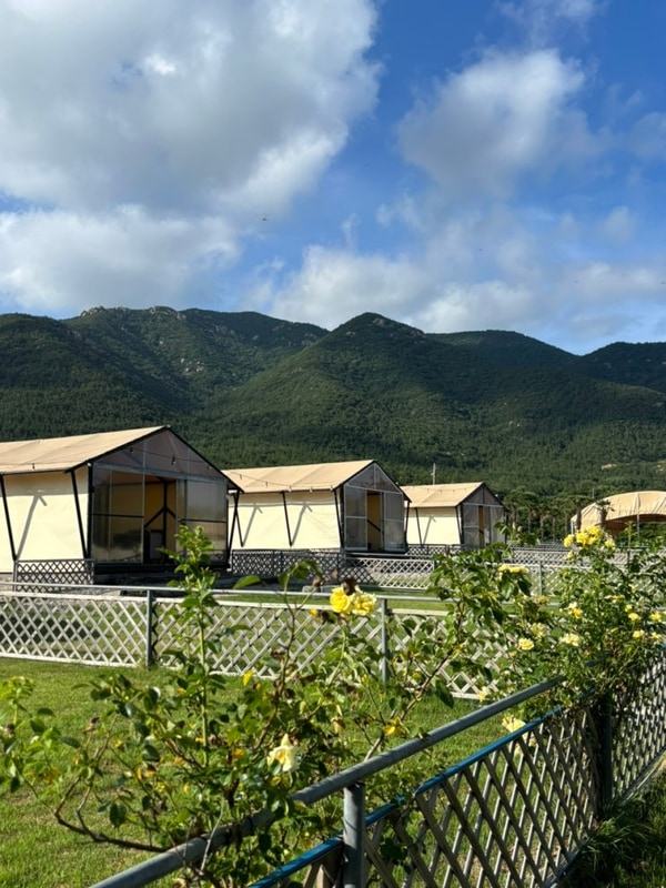 전남 장흥 땡땡이글램핑 _ 애견동반 글램핑 / 수영장 / 개별바베큐