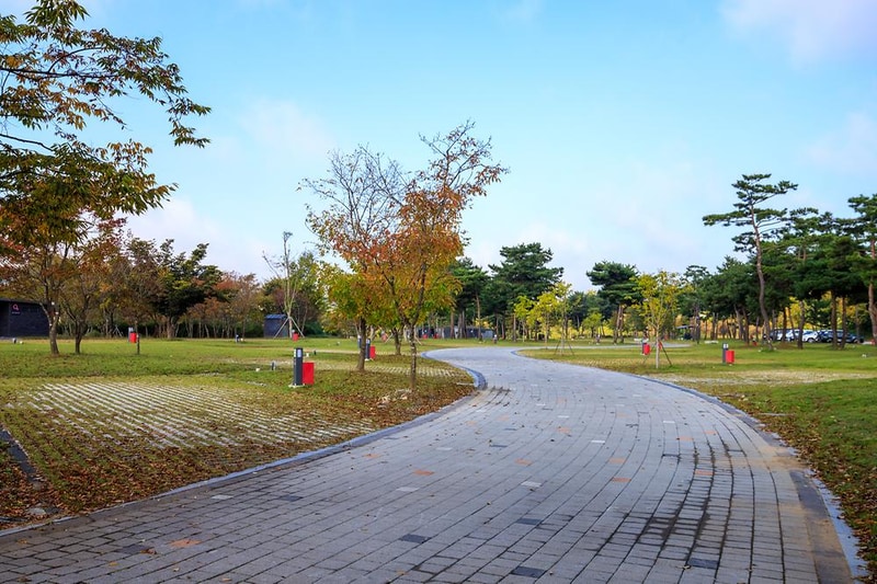 충주 목계솔밭 캠핑장 시설 사진 7