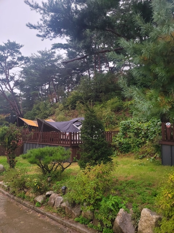 포천 캠핑장 운악 184에서 보낸 추석 연휴