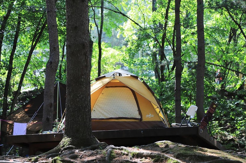 국립용대자연휴양림 시설 사진 6