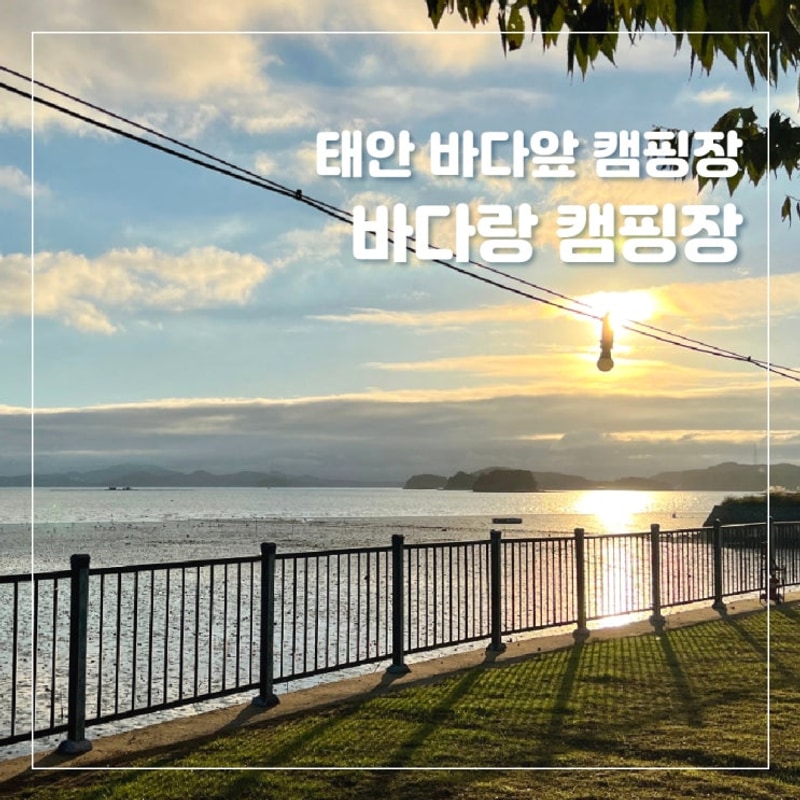 태안 바다랑캠핑장 가족캠핑, 바다 앞 캠핑과 낚시