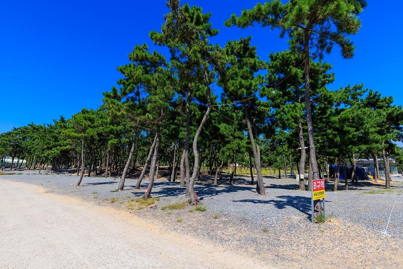 어은돌오토캠핑장 시설 사진 14