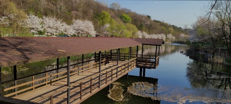 [포천 캠핑장] 레이크문캠핑장 가족과 함께하기 좋은