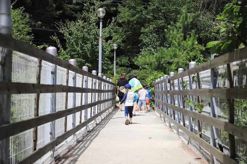 피노키오 자연휴양림 야영장 시설 사진 3