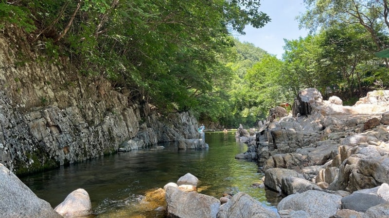 충북 영동 - 물한계곡/별밤펜션캠핑장