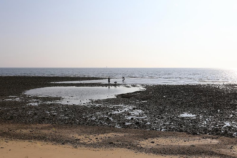 백사장사계절 숲속야영장 시설 사진 3