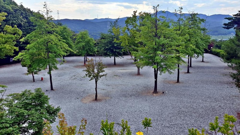 단풍숲캠핑장 시설 사진 20