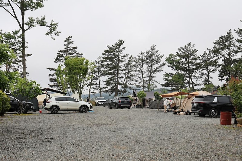 체로키캠핑장 (Cherokeycamp) 시설 사진 1