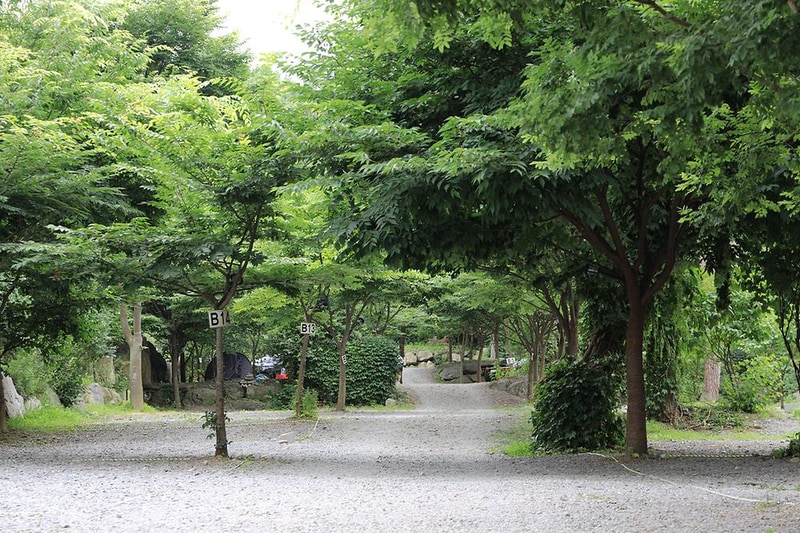 하이몽글램핑&캠핑장 시설 사진 21