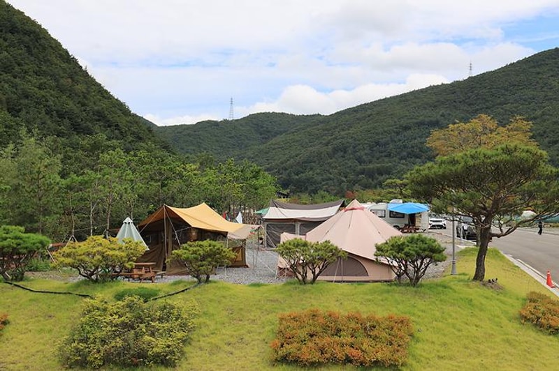 태백 눈꽃 야영장 대표 사진