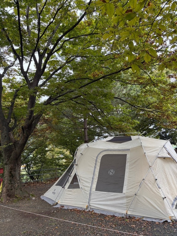 밀양 옥샘 캠핑장에서 가을 운치 가득한 캠핑