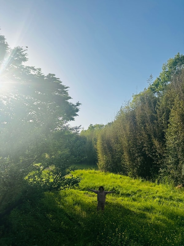 [의령 호수랑 오토캠핑장]봄날의 2박 3일 힐링 캠핑 기록