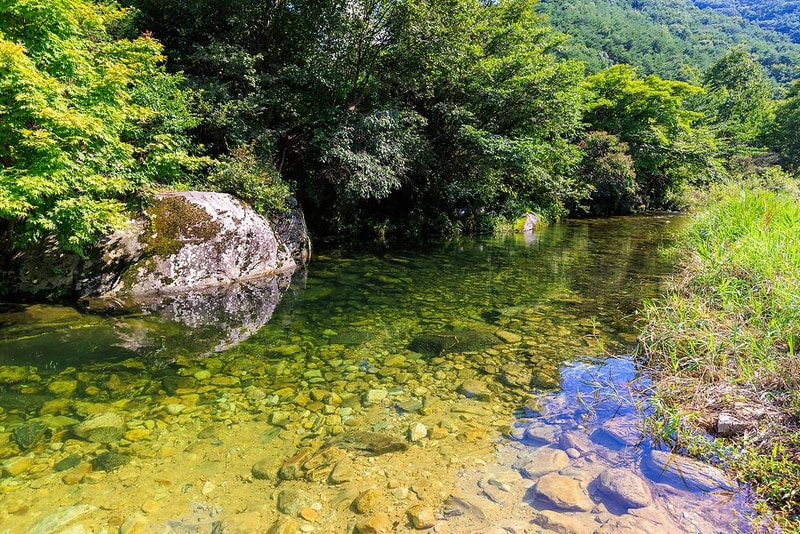 캠프더포레 시설 사진 14