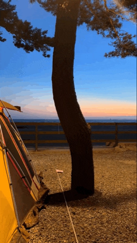 충남 태안 바다바로앞... 가능한 몽산포오토캠핑장 2구역