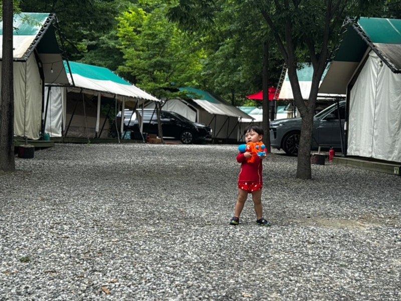 가평 둥지캠핑장 25년 첫 번째 미즈캠 1박2일 기록 캠로그 #19.