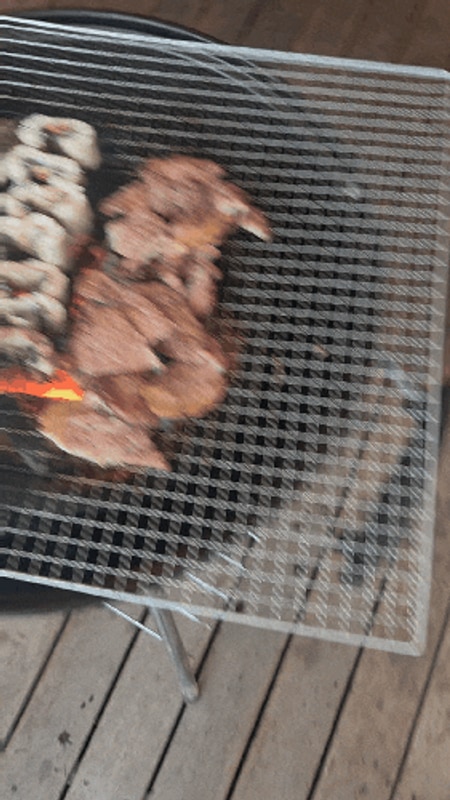 전남 애견 글램핑 추천) '장흥 땡땡이글램핑' 사람도 강아지도...