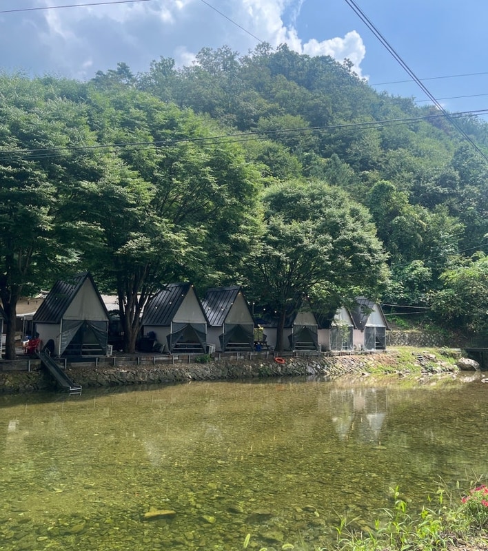 ⛺️[강원/춘천] 서울 근교 계곡 글램핑&백숙 ‘브루조아’