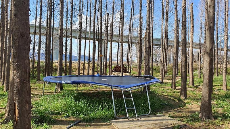 무릉관광농원 시설 사진 13