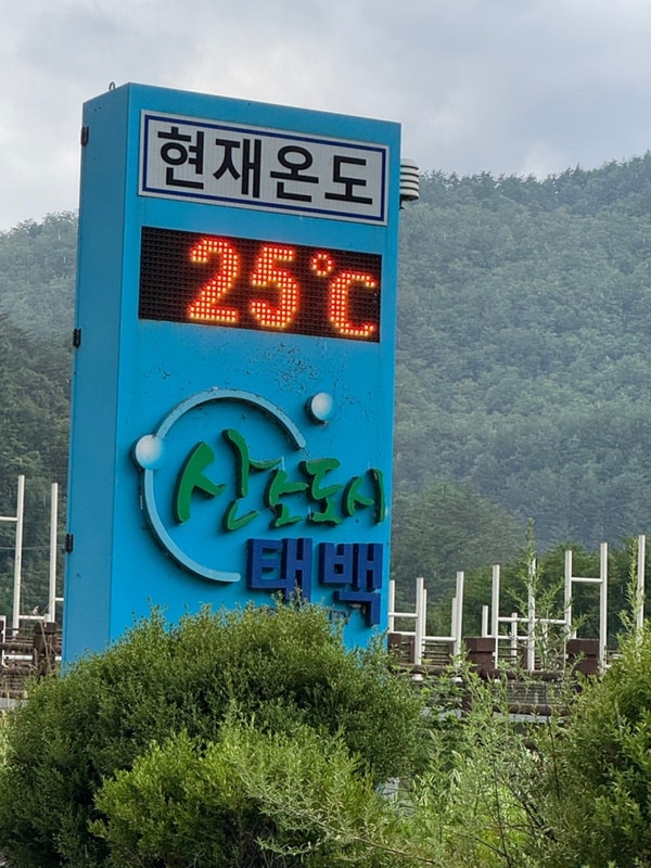 태백 보은 3박 4일 여행 / 태백산 소도야영장...