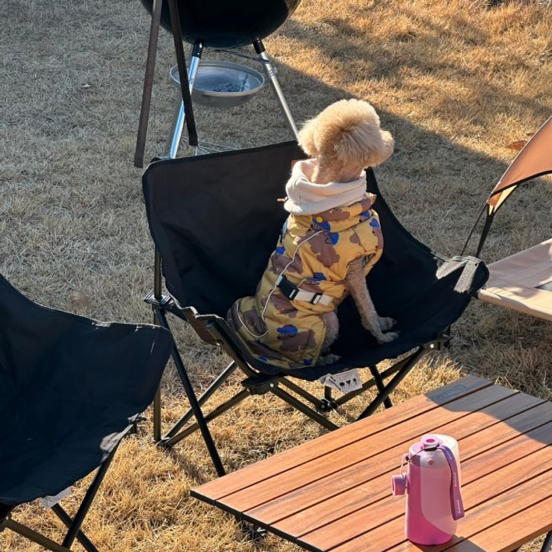 [파주 테라피크닉] 잔디정원과 개별 방갈로가 있는 애견캠핑장...