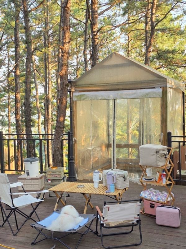 양평 반려견 동반 캠핑장｜노천탕까지 있는 골든쌔들캠핑장...