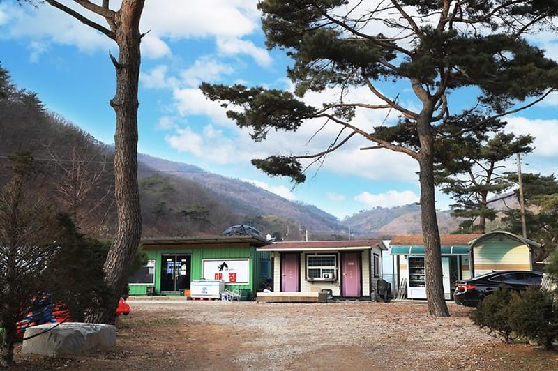 진밭골향기관광농원 야영장 대표 사진