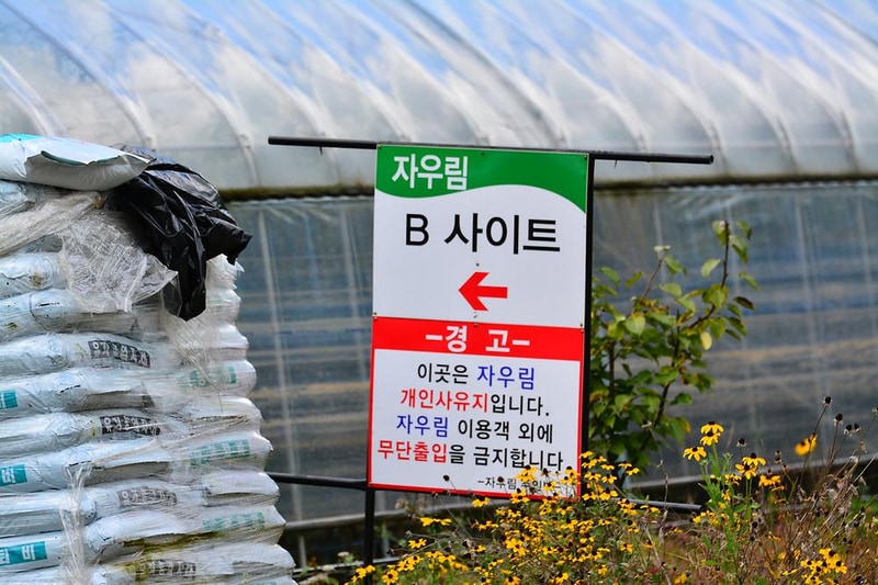 자우림캠핑장 시설 사진 1