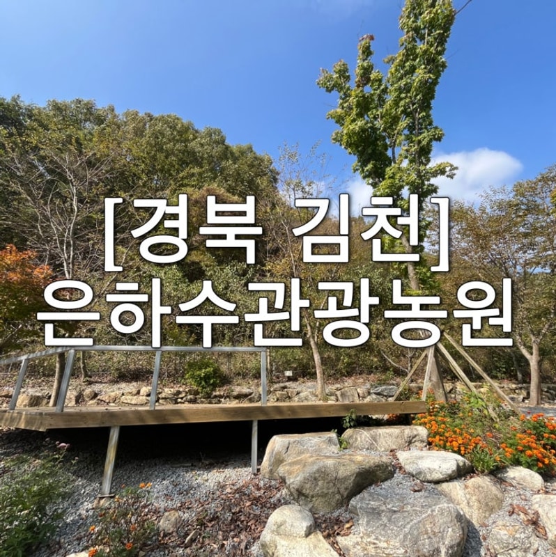 [경북 김천]ㅣ은하수관광농원ㅣ계곡캠핑장 자연캠핑장...