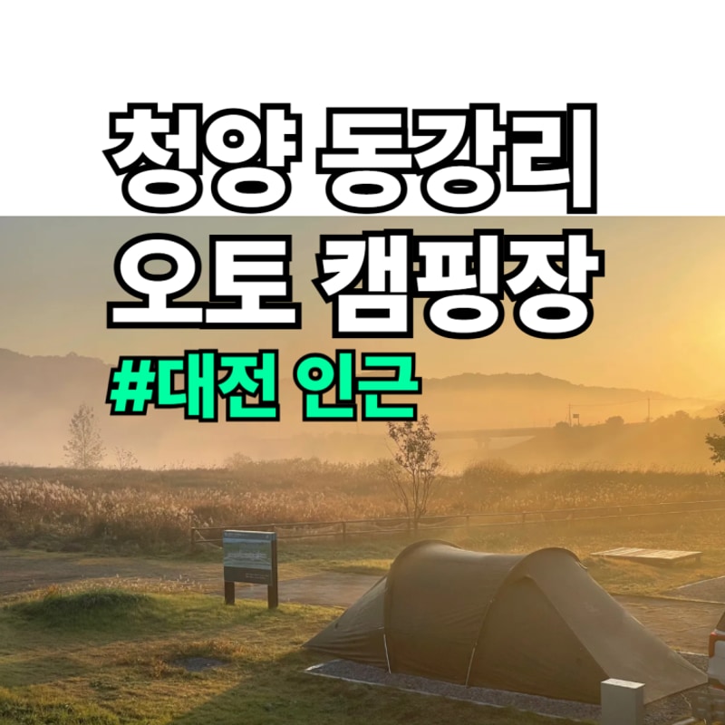 청양 동강리 오토 캠핑장(예약 방법 배치도 명당 정보) /B24...