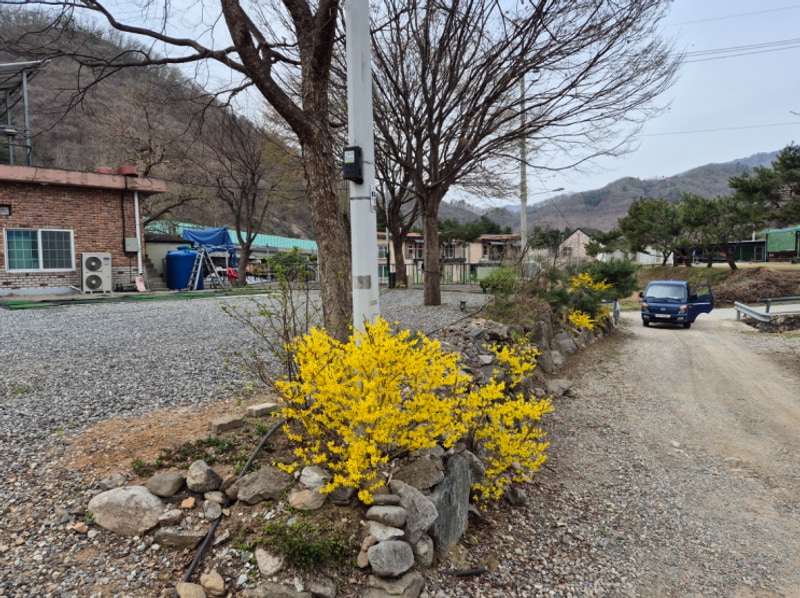 마음속 평화를 찾고싶을때 마다 방문하는 가평 캠핑장 485캠핑장