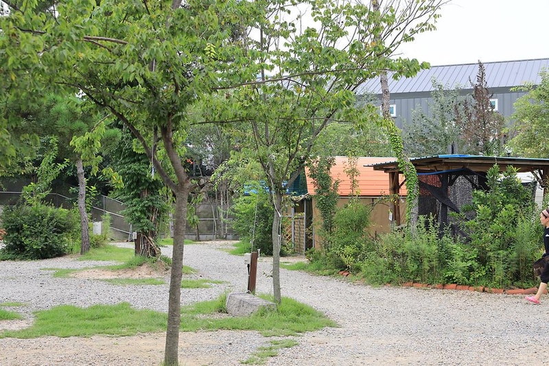 용천수캠핑장 시설 사진 8