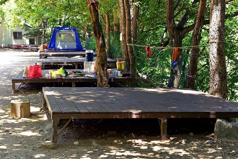 원동자연휴양림 대표 사진