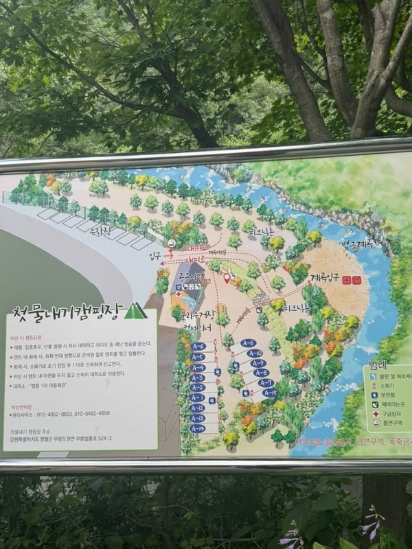 강원도 영월 첫물내기캠핑장 계곡 피크닉존 이용 내돈내산...