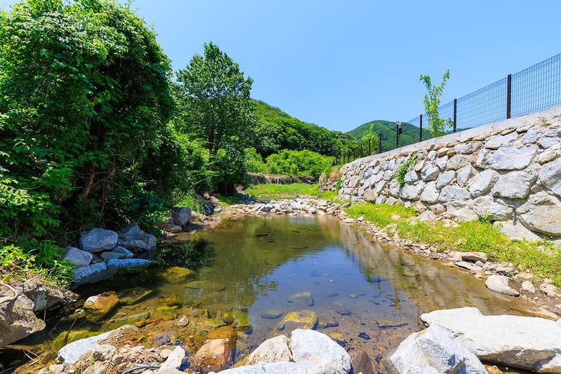 김천맑은계곡 오토캠핑장 시설 사진 16