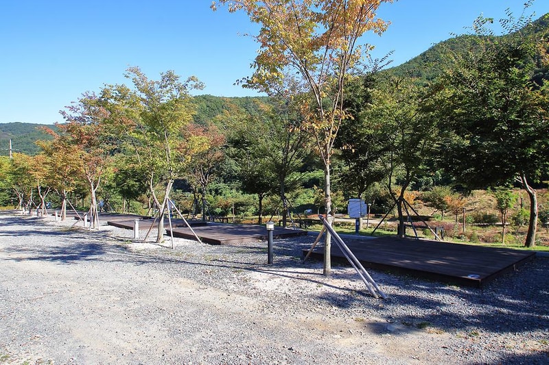 비학산자연휴양림 시설 사진 4