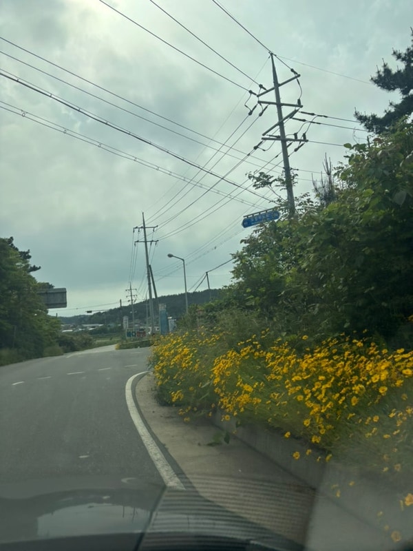 어은돌 최고 캠핑장 4호 캠핑 후기