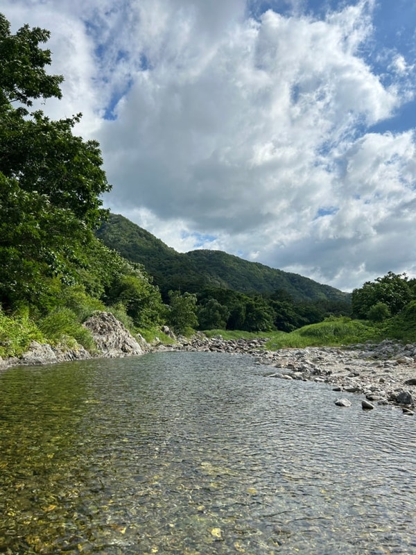 양양 골짜구니캠핑장 솔직후기 (반려견 동반 가능, 명당 자리...