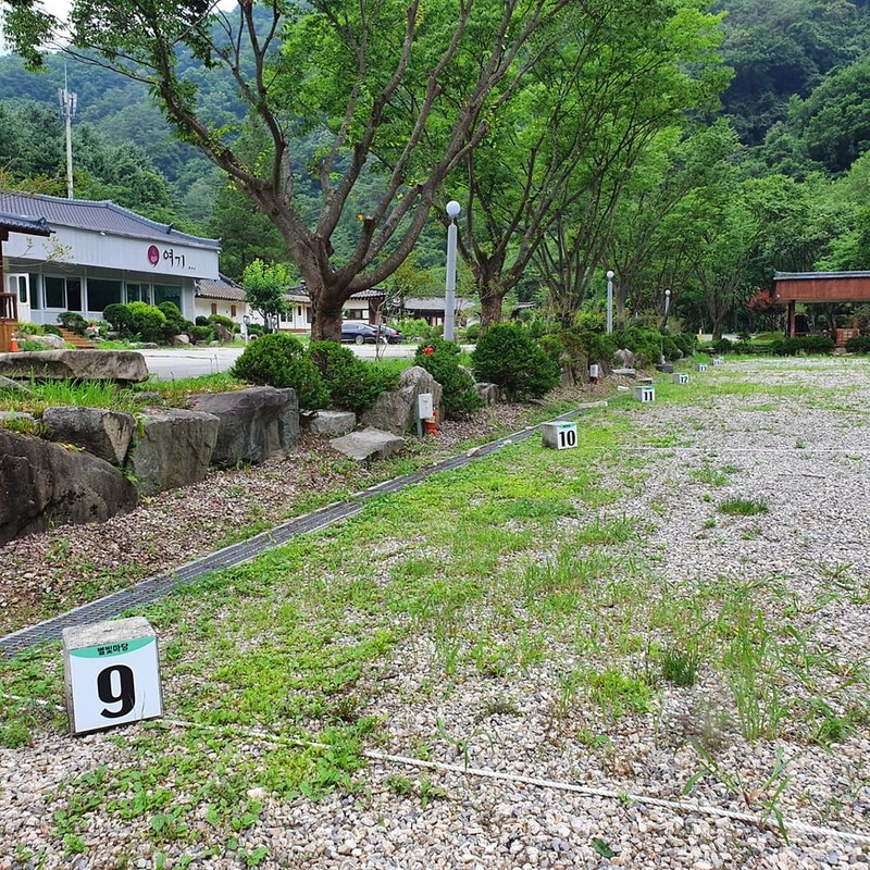 강원 홍천 알프스밸리 캠핑나라 글램독 시설 사진 17