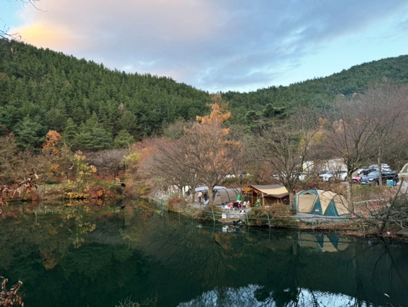 밀양 호반오토캠핑장 꼭 참고하세요 호반A F2사이트