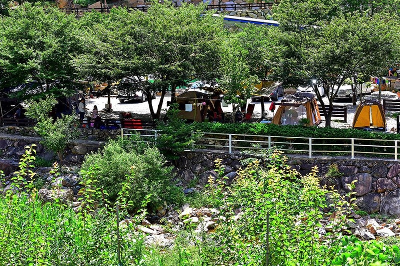 무릉도원 오토캠핑장 시설 사진 11