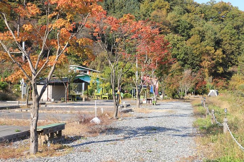 여울애꽃물들인 대표 사진