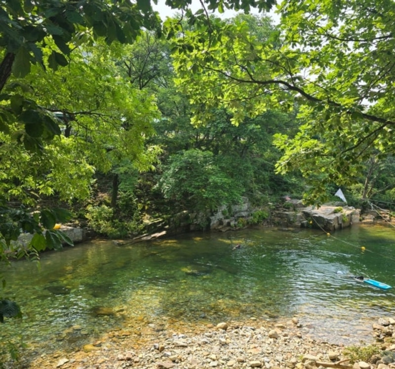 [괴산] 쌍곡계곡 물소리풍경 캠핑장 계곡과 가장 가까운 여름...