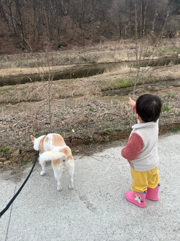 Ep.01 충주 ‘이른아침캠핑장’ 후기 & 뿜찌네 캠린이 일기️