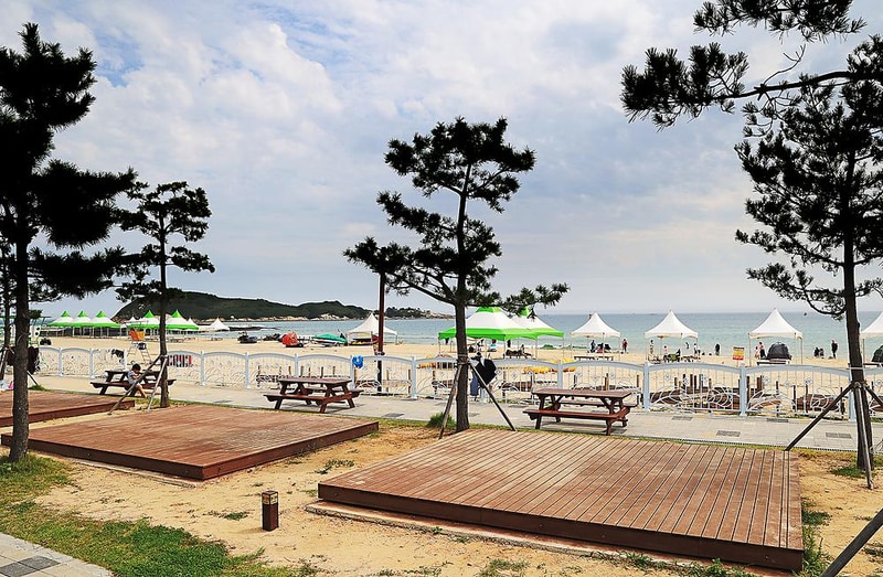 오호(OHO!) 캠핑장 시설 사진 15