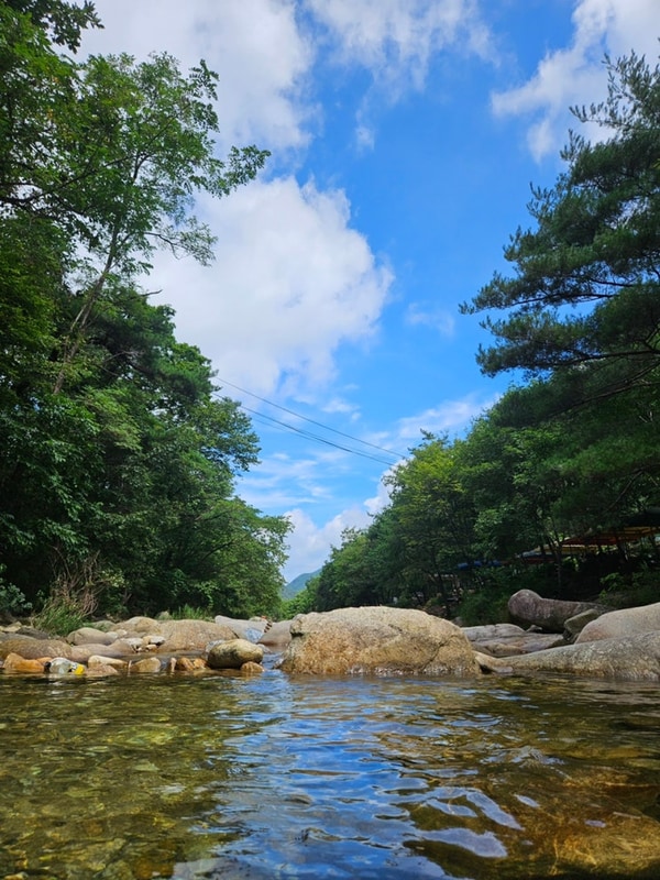 충북 괴산 계곡이 깊은 가자우리집캠핑장