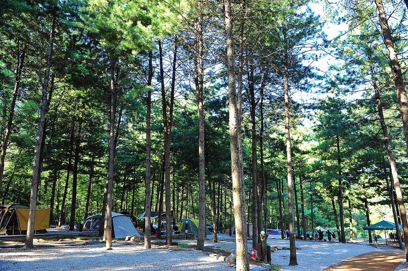 추동캠프 시설 사진 10