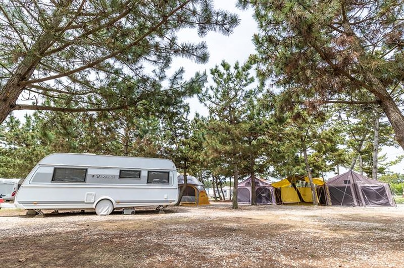 몽산포오션캠핑장 대표 사진