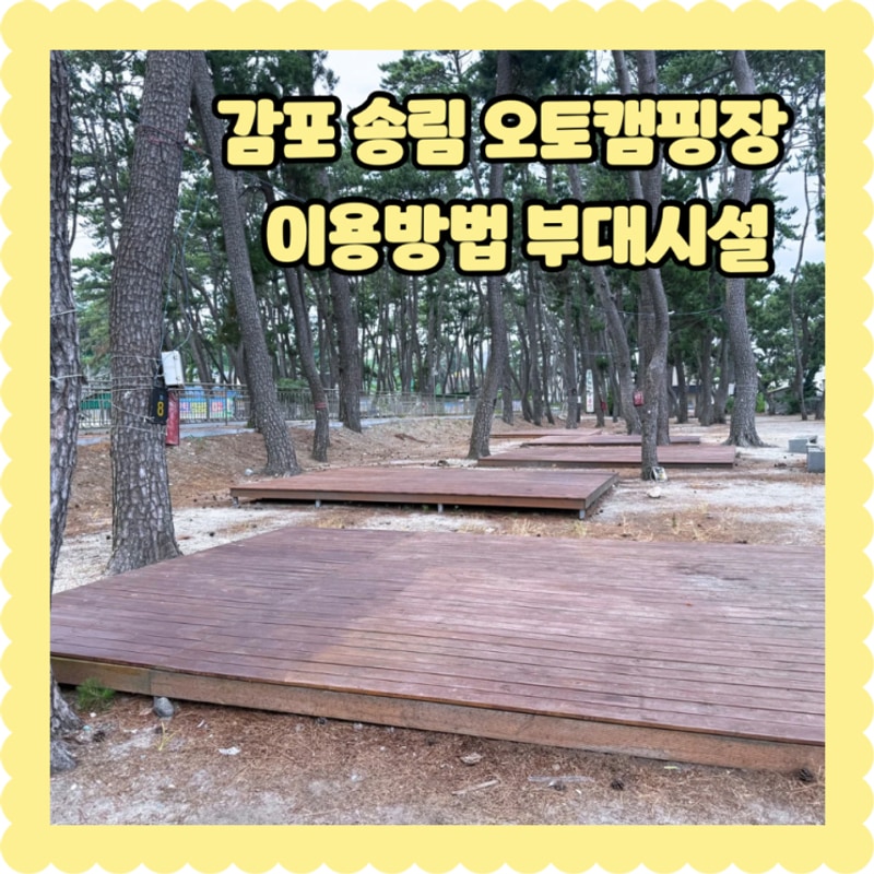 경주 감포 송림 오토캠핑장 예약방법 가격 샤워실 화장실 후기